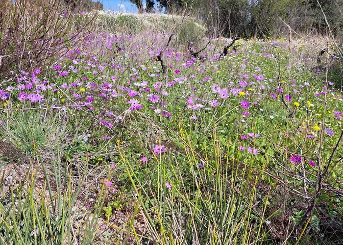 Hébergement de vacances αγναντιο μεζονέτα 110 τ.μ. Spanokhórion