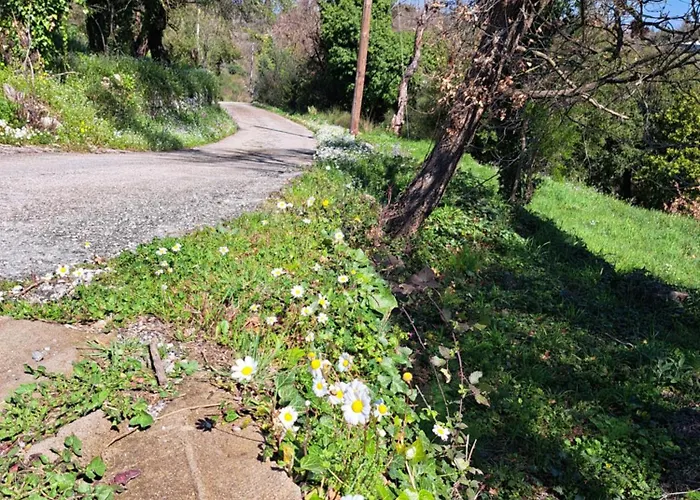 Hébergement de vacances αγναντιο μεζονέτα 110 τ.μ.