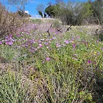 Holiday home αγναντιο μεζονέτα 110 τ.μ. Spanokhorion